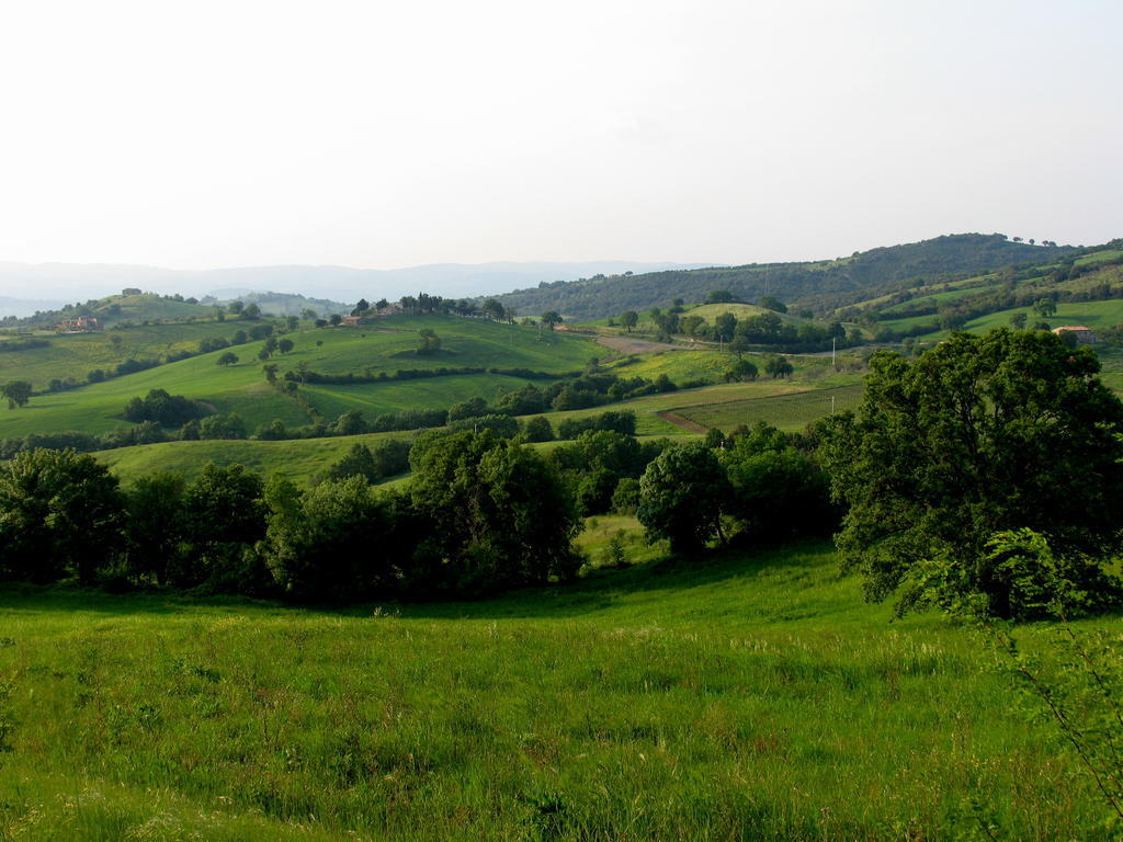 Poggio Della Quercia Villa Manciano Buitenkant foto